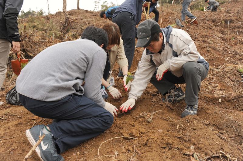 이성보 국민권익위원장이 직원들과 함께 식목일을 앞둔 1일 오후 세종시 연서면의 한 야산을 찾아 소나무 묘목을 심고 있다.